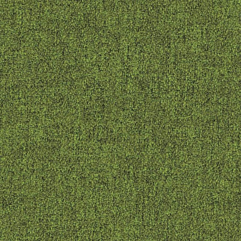 anthraciteoak